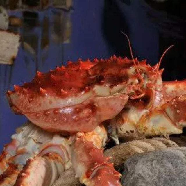 Close up pic of king crab